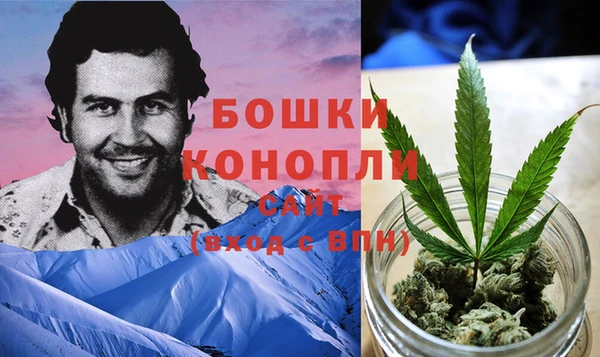 метадон Алексин