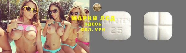 ешки Алзамай
