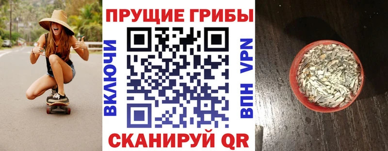 mega ссылки  Боровичи  Галлюциногенные грибы Psilocybine cubensis 